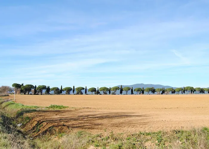 Daire Amazing In Puntone With Wifi Casa Botrona