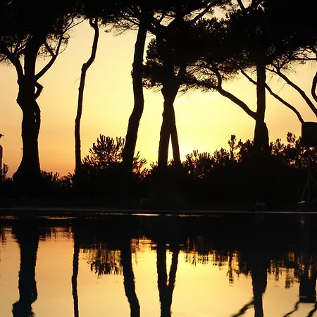 Apartamento Amazing In Puntone With Wifi *